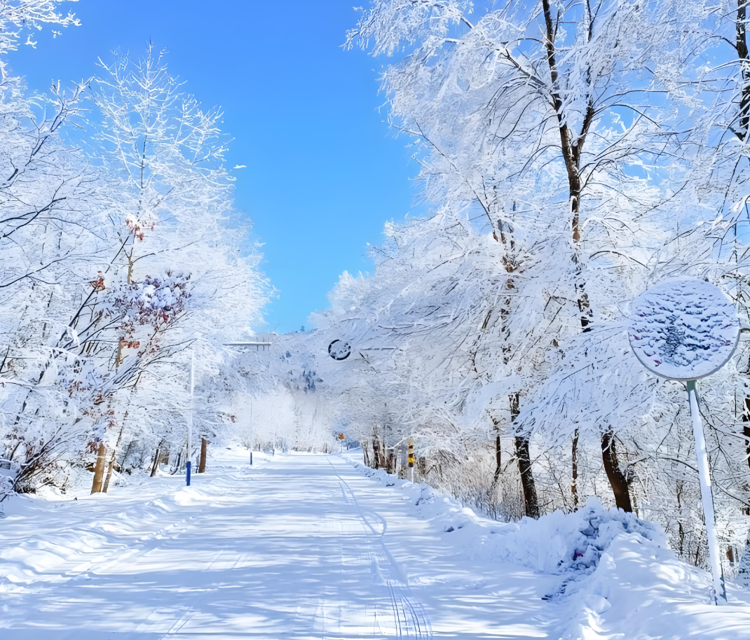 开云平台-温馨！零下37度，胡明轩冰天雪地中，给球迷签名